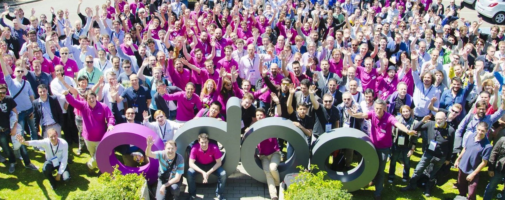 What is an Odoo Developer?